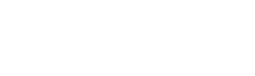 Nanoplex